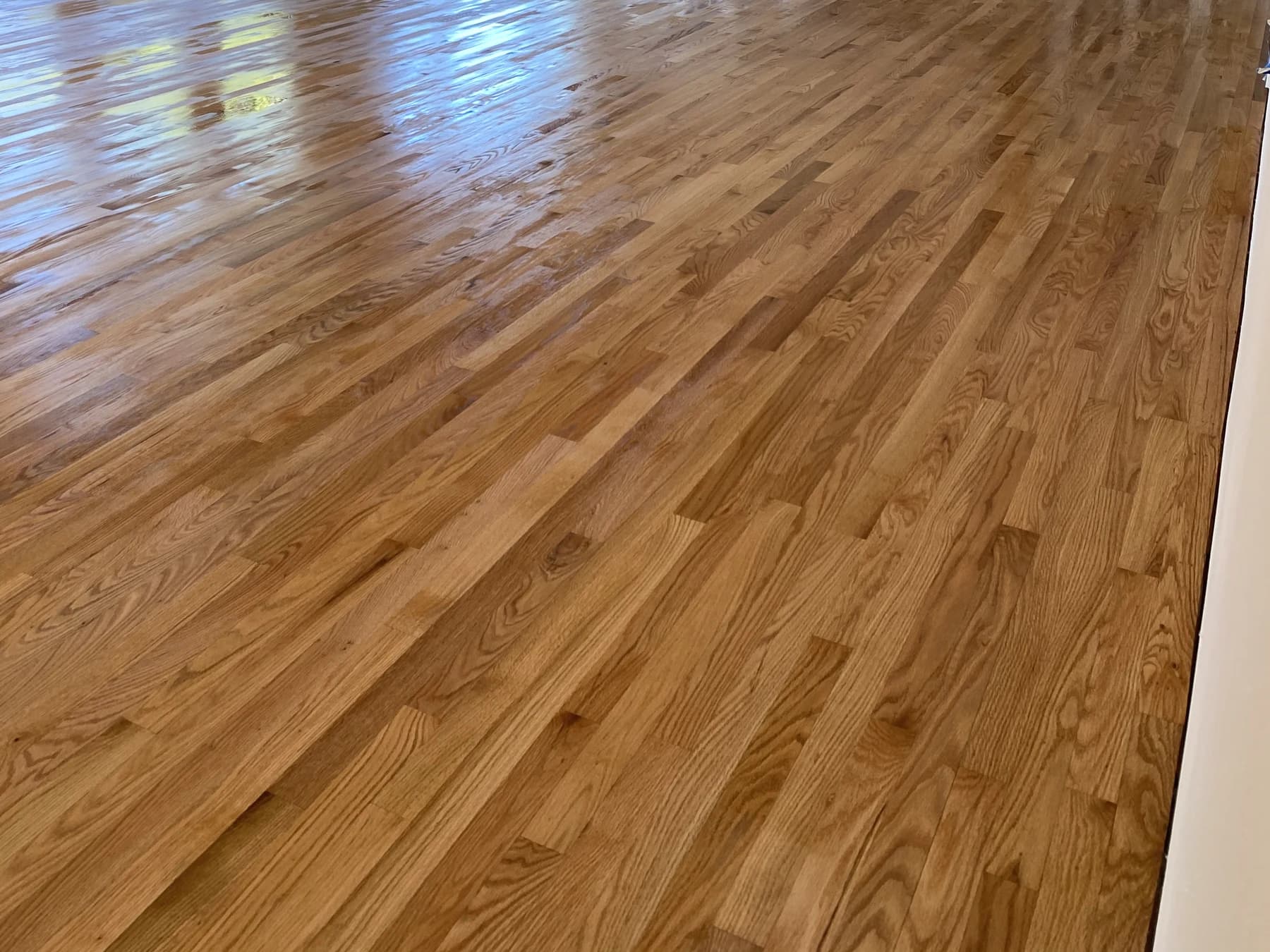 Coating-stage photograph of wood flooring from a completed Point Loma refinishing project