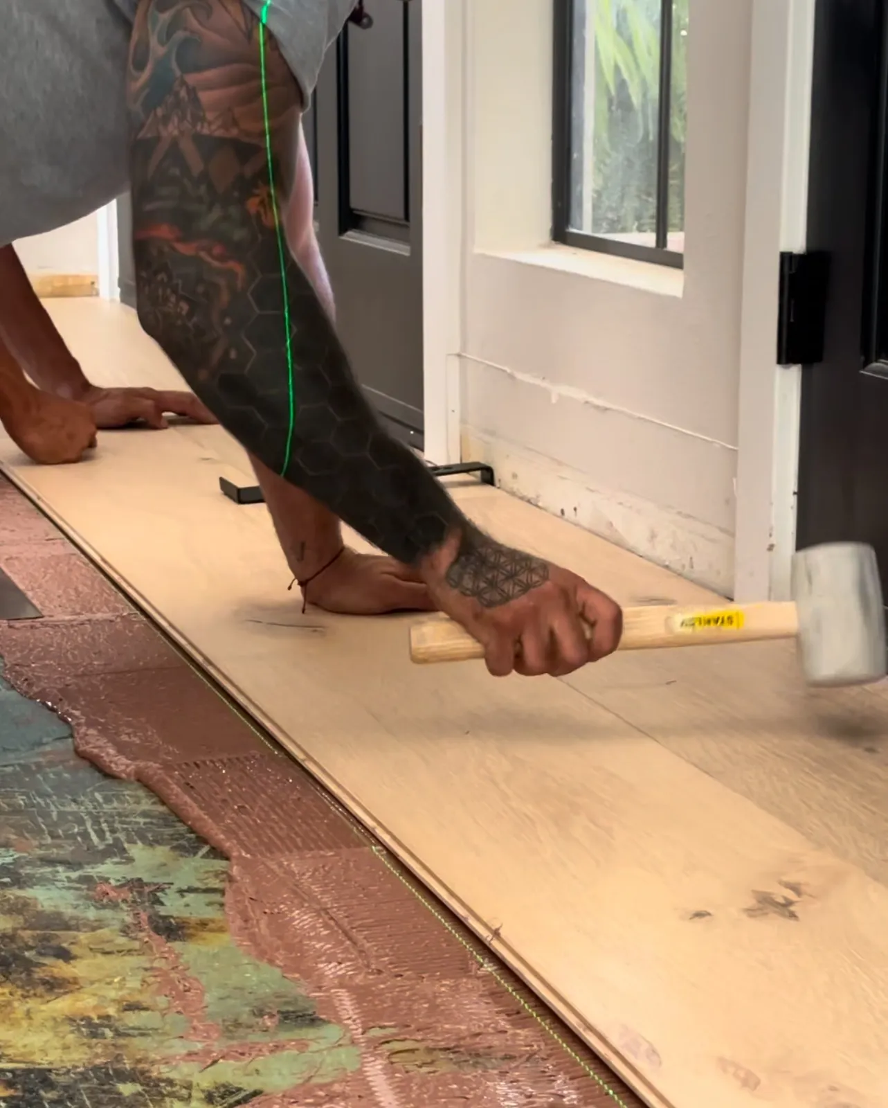Installer setting wide planks to a laser line over fresh adhesive